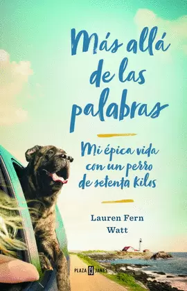 MAS ALLA DE LAS PALABRAS