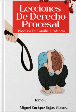 LECCIONES DE DERECHO PROCESAL. PROCESOS DE FAMILIA E INFANCIA