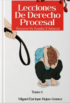 LECCIONES DE DERECHO PROCESAL TOMO 6 - PROCESOS DE FAMILIA E INFANCIA