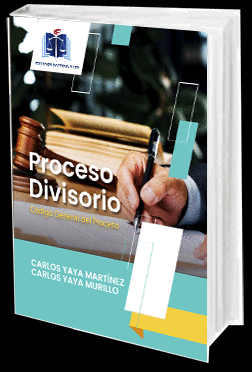 PROCESO DIVISORIO