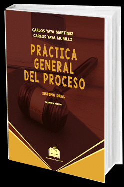 PRÁCTICA GENERAL DEL PROCESO. SISTEMA ORAL