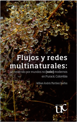 FLUJOS Y REDES MULTINATURALES:CUN RECORRIDO POR MUNDOS NO SOLO MODERNOS EN PURACE, COLOMBIA