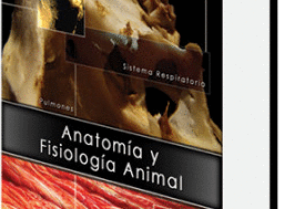 ANATOMIA EN ANIMALES DE GRANJA  ANATOMIA Y FISIOLOGIA ANIMAL + USB