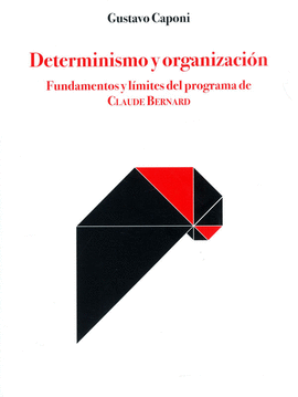 DETERMINISMO Y ORGANIZXACION