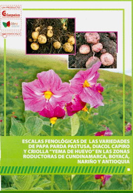 ESCALAS FENOLOGICAS DE LAS VARIEDADES DE PAPA PARDA PASTUSA, DIACOL CAPIRO Y CRIOLLA 