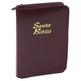 SANTA BIBLIA REINA VALERA 1960 VINO TINTO