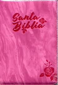 BIBLIA COLOR FUCSIA CANTO COLOR PLATA