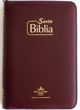 SANTA BIBLIA REINA VALERA 1960 VINOTINTO