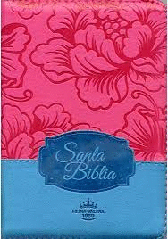 SANTA BIBLIA REINA VALERA 1960