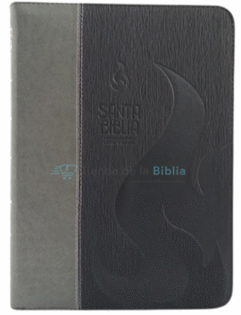 SANTA BIBLIA REINA VALERA 1960 LETRA GIGANTE - BICOLOR GRIS/NEGRO