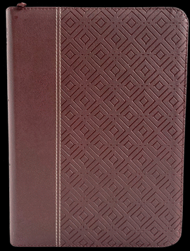 SANTA BIBLIA REINA VALERA 1960 (LETRA GIGANTE)