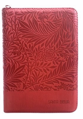 SANTA BIBLIA REINA VALERA