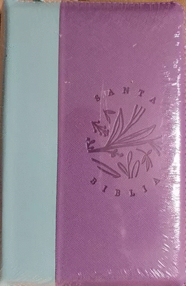 SANTA BIBLIA REINA VALERA 1960 (ECONOMICA)