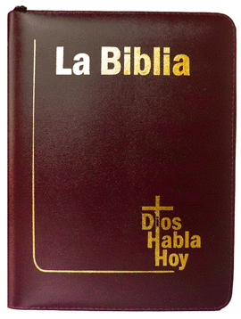 LA BIBLIA - DIOS HABLA HOY