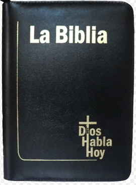 BIBLIA DIOS HABLA HOY LETRA GIGANTE