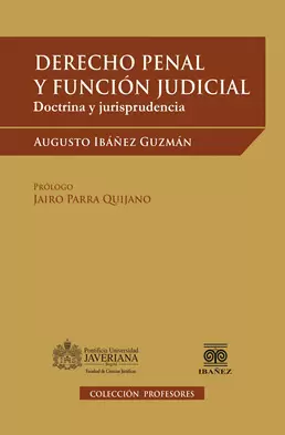 DERECHO PENAL Y FUNCION JUDICIAL - DOCTRINA Y JURISPRUDENCIA