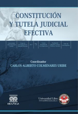 CONSTITUCIÓN Y TUTELA JUDICIAL EFECTIVA