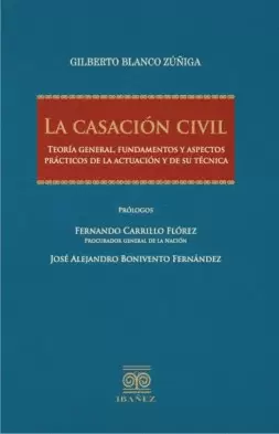CASACIÓN CIVIL, LA. TEORÍA GENERAL, FUNDAMENTOS Y ASPECTOS PRÁCTICOS DE LA ACTUACIÓN Y DE SU TÉCNICA
