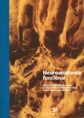 NEUROANATOMÍA FUNCIONAL