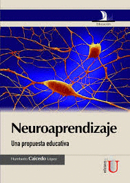 NEUROAPRENDIZAJE- UNA PROPUESTA EDUCATIVA