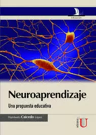 NEUROAPRENDIZAJE- UNA PROPUESTA EDUCATIVA