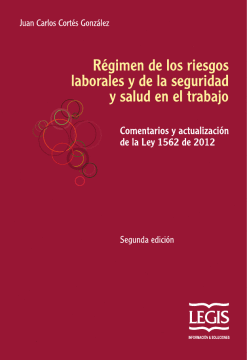 REGIMEN DE LOS RIESGOS LABORALES Y DE LA SEGURIDAD Y SALUD EN EL TRABAJO 2ED