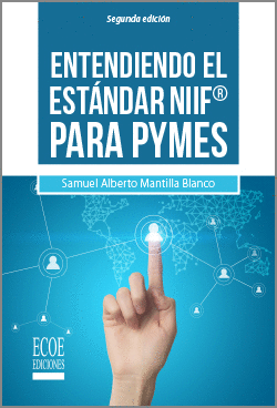 ENTENDIENDO EL ESTANDAR NIIF PARA PYMES