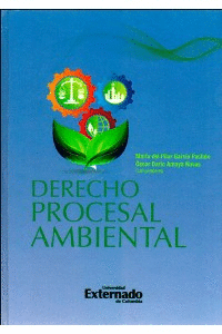 DERECHO PROCESAL AMBIENTAL