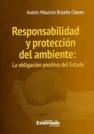 RESPONSABILIDAD Y PROTECCION DEL AMBIENTE: LA OBLIGACION POSITIVA DEL ESTADO