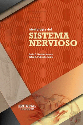 MORFOLOGÍA DEL SISTEMA NERVIOSO