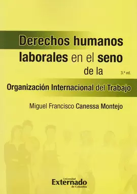DERECHOS HUMANOS EN EL SENO DE LA ORGANIZACION