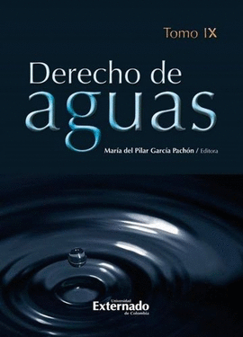 DERECHO DE AGUAS. TOMO IX