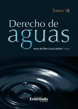 DERECHO DE AGUAS. TOMO IX
