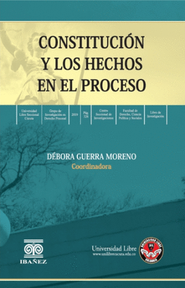 CONSTITUCION Y LOS HECHOS EN EL PROCESO