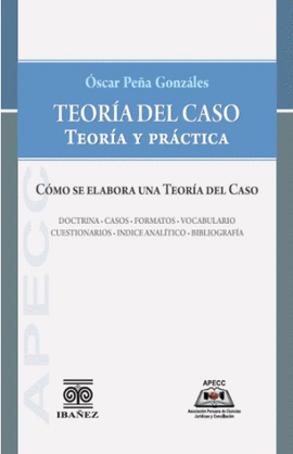 TEORÍA DEL CASO