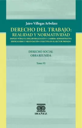 DERECHO DEL TRABAJO: REALIDAD Y NORMATIVIDAD TOMO VI