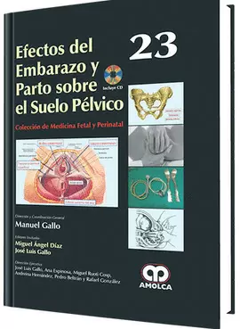 GALLO 23, EFECTOS DEL EMBARAZO Y PARTO SOBRE EL SUELO PELVICO
