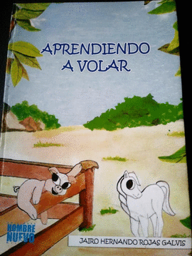 APRENDIENDO A VOLAR