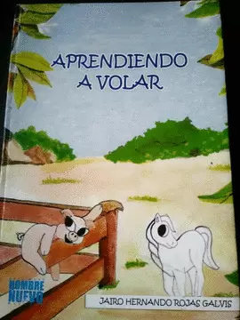 APRENDIENDO A VOLAR
