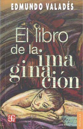 EL LIBRO DE LA IMAGINACIÓN