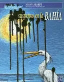 SUSPENSO EN LA BAHÍA