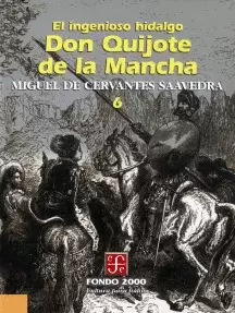 INGENIOSO HIDALGO DON QUIJOTE DE LA MANCHA TOMO 6