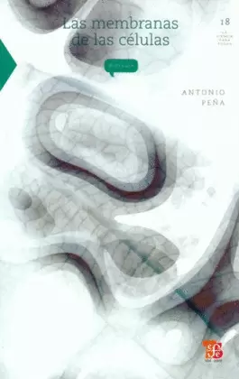 LAS MEMBRANAS DE LAS CÉLULAS