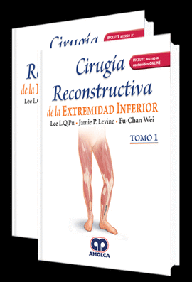 CIRUGIA RECONSTRUCTIVA DE LA EXTREMIDAD INFERIOR 2 TOMOS