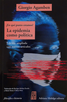 ¿EN QUÉ PUNTO ESTAMOS? LA EPIDEMIA COMO POLÍTICA