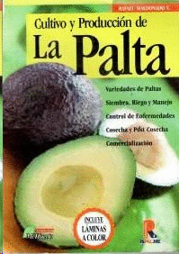 CULTIVO Y PRODUCCION DE LA PALTA (AGUACATE)