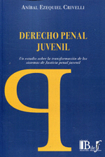 DERECHO PENAL JUVENIL UN ESTUDIO SOBRE LA TRANSFORMACION DE LOS SISTEMAS DE JUSTICIA PENAL JUVENIL