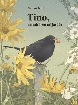 TINO, UN MIRLO EN MI JARDÍN